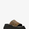 Sandália chinelo com plataforma em pelo de bezerro com estampado de leopardo Kendra | Michael Kors [PT]